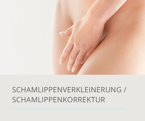 Schamlippenkorrektur, Plastische Chirurgie Berlin, AesthetiCum, Dr. Ahrens, Dr. Fritzsch 